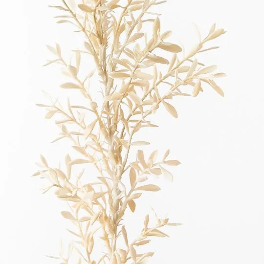 12 x Willow Leaf Spray