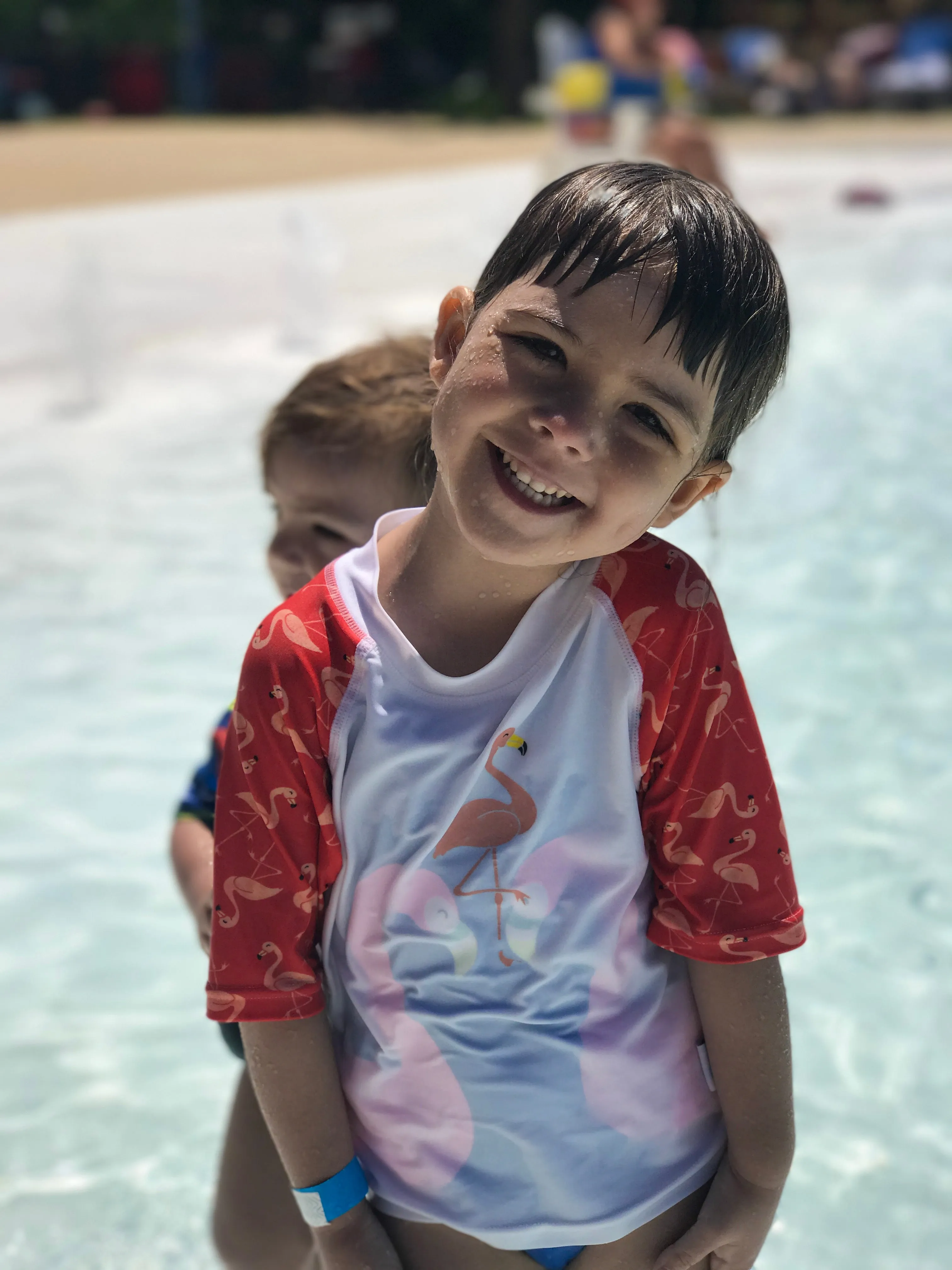Flamingo Baby Rash Guard, Sun Protective Swim Shirt (Sizes 6M–5T) by Beau & Belle Littles